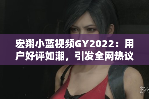 宏翔小藍(lán)視頻GY2022：用戶好評(píng)如潮，引發(fā)全網(wǎng)熱議！