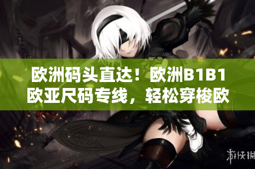 歐洲碼頭直達！歐洲B1B1歐亞尺碼專線，輕松穿梭歐亞，解決尺碼困擾！