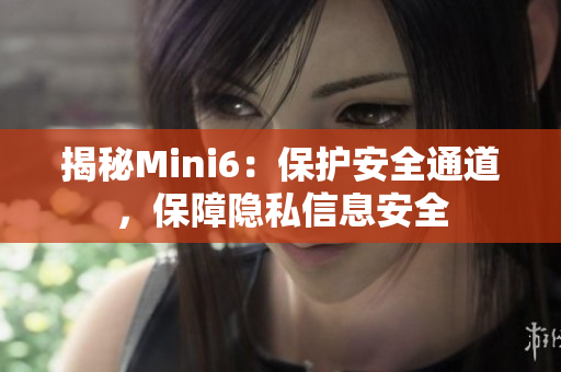 揭秘Mini6：保護(hù)安全通道，保障隱私信息安全