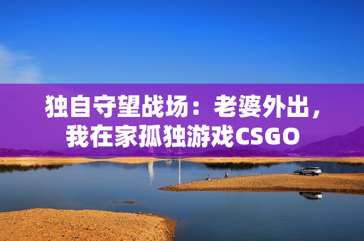 獨(dú)自守望戰(zhàn)場(chǎng)：老婆外出，我在家孤獨(dú)游戲CSGO