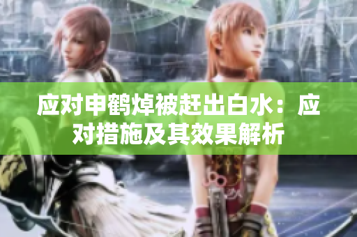 應(yīng)對申鶴焯被趕出白水：應(yīng)對措施及其效果解析