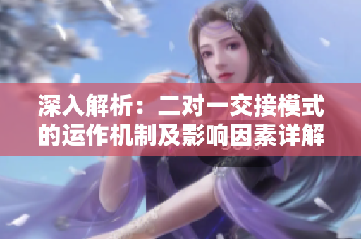 深入解析：二對一交接模式的運(yùn)作機(jī)制及影響因素詳解