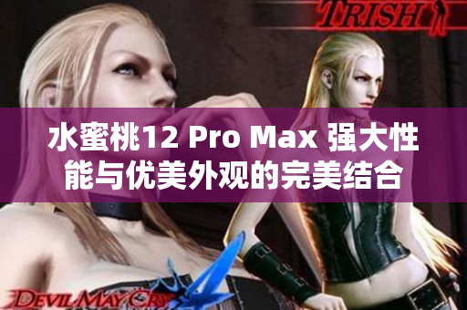 水蜜桃12 Pro Max 強大性能與優(yōu)美外觀的完美結合