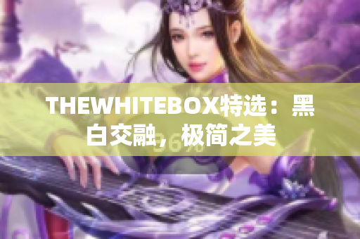 THEWHITEBOX特選：黑白交融，極簡之美