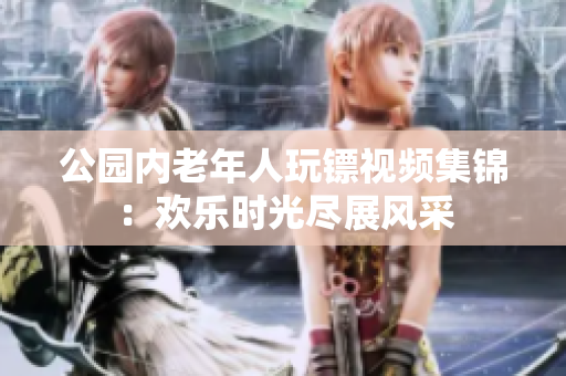 公園內(nèi)老年人玩鏢視頻集錦：歡樂時光盡展風采