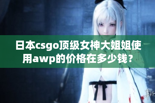 日本csgo頂級女神大姐姐使用awp的價格在多少錢？