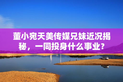 董小宛天美傳媒兄妹近況揭秘，一同投身什么事業(yè)？
