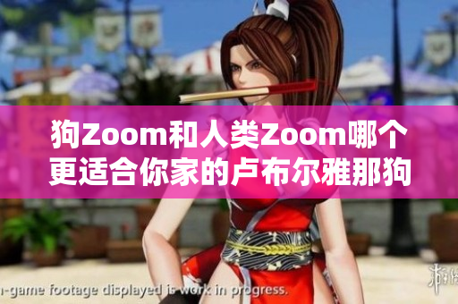 狗Zoom和人類Zoom哪個(gè)更適合你家的盧布爾雅那狗？
