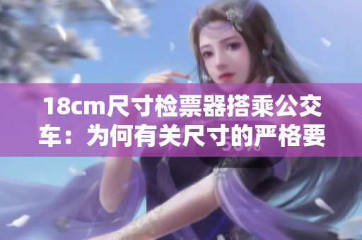 18cm尺寸檢票器搭乘公交車：為何有關尺寸的嚴格要求？