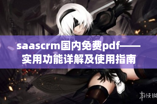 saascrm國內(nèi)免費pdf——實用功能詳解及使用指南