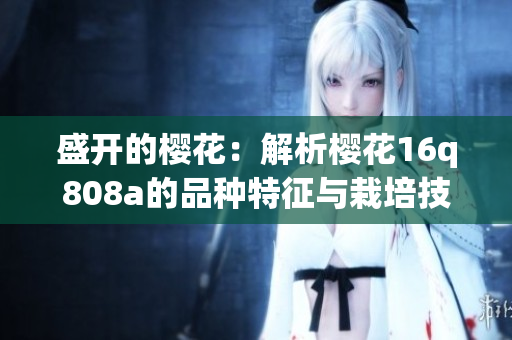 盛開的櫻花：解析櫻花16q808a的品種特征與栽培技巧