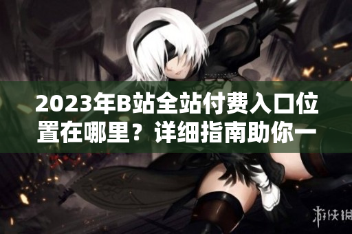 2023年B站全站付費(fèi)入口位置在哪里？詳細(xì)指南助你一鍵了解