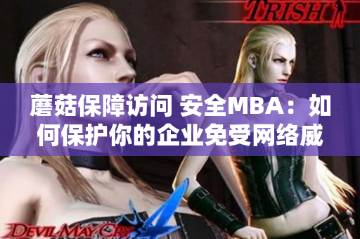 蘑菇保障訪問(wèn) 安全MBA：如何保護(hù)你的企業(yè)免受網(wǎng)絡(luò)威脅？