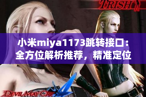小米miya1173跳轉(zhuǎn)接口：全方位解析推薦，精準(zhǔn)定位用戶需求