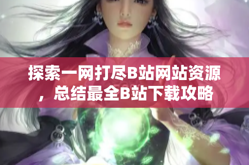 探索一網(wǎng)打盡B站網(wǎng)站資源，總結(jié)最全B站下載攻略