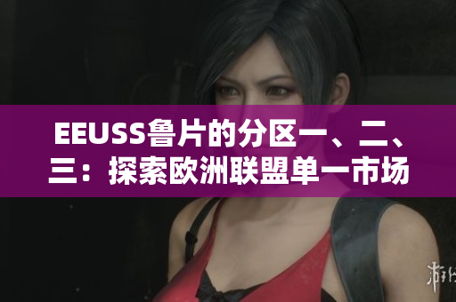EEUSS魯片的分區(qū)一、二、三：探索歐洲聯(lián)盟單一市場的地區(qū)特色
