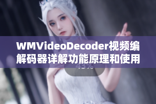 WMVideoDecoder視頻編解碼器詳解功能原理和使用技巧