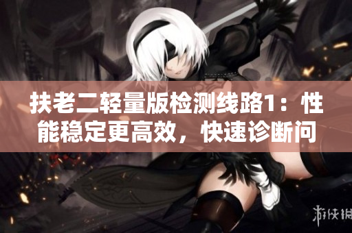 扶老二輕量版檢測線路1：性能穩(wěn)定更高效，快速診斷問題解決方案