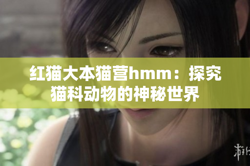 紅貓大本貓營hmm：探究貓科動物的神秘世界