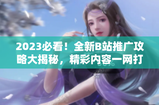 2023必看！全新B站推廣攻略大揭秘，精彩內(nèi)容一網(wǎng)打盡